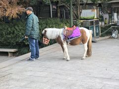 -杭州少年儿童公园