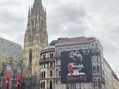 -斯蒂芬主教座堂(Stephansdom)