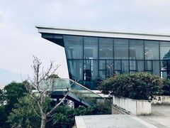 -金鸡山公园