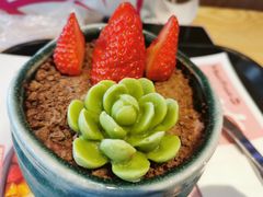 -鲜芋仙MeetFresh(万达店)