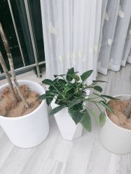 -HEYAN荷妍专业脱毛连锁机构