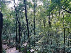 -宝岩生态观光园