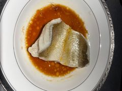 清蒸野生黄鱼-怡情荟•海鲜青岛菜(五四广场旗舰店)