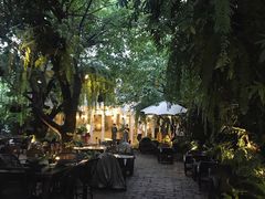 -Fern Forest Cafe