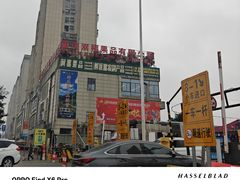 -双福水果批发市场