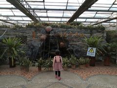 -万源龙顺度假庄园生态观光园