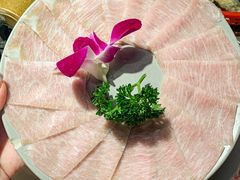 -禄婶鸡煲·打边炉