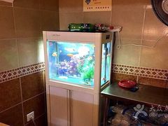 -聪辉同安老美食饭店(大元路店)