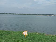-丁香湖公园