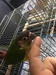-日月刺青工作室·高端纹身