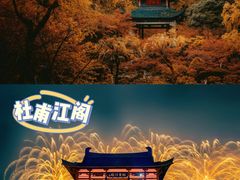 -橘子洲景区