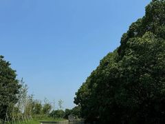 -同里国家湿地公园