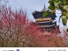 -杭州半山国家森林公园