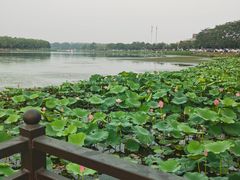 -素心小筑(后沙裕镇店)