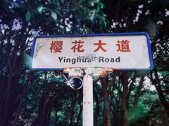 -武汉大学-樱园