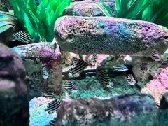 -沈阳海洋探索中心