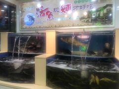 -屯老二农家铁锅炖·行业领军者(梅江店)