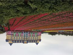 花之恋酒店-广州花之恋城堡酒店