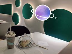 -飞行喵MR PILOT|猫舍·猫咖(静安大融城店)