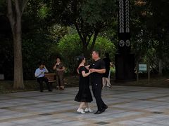 -紫薇公园