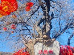 -八大处公园