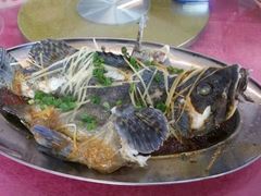 -台山美食一绝阿四台山黄鳝饭(阿四创作店)