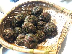 -食家鸽园