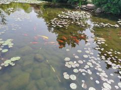 -白马涧龙池景区