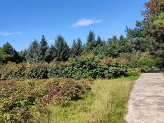 -长春世界雕塑园冰雪艺术天地