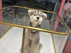 -FAELING PETS美天灵宠物(合生汇店)