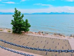 -深圳湾公园(南山区)