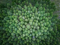 -塞罕坝国家级自然保护区