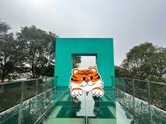 -南京市江宁方山