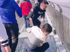 -梦幻奥陶纪景区