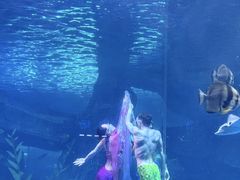 -泉城欧乐堡海洋极地世界