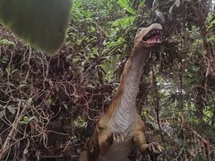 -呀路古热带植物园