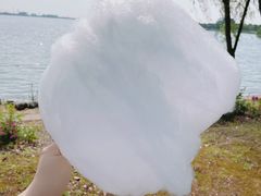 -漕湖湿地公园