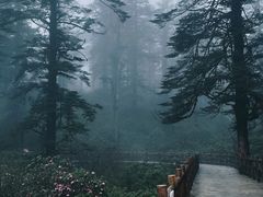 -瓦屋山景区