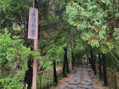 -洛阳白马寺