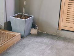 -小意思咖啡店(草桥店)