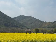 -径山花海