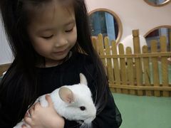 -藦茜花园宠物主题亲子互动体验馆(国顺东路店)