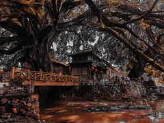 -云水谣景区