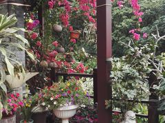-小洲村