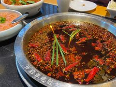 -一斗火锅·招财羊毛肚(北温泉九号店)
