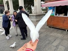 -天津妈祖文化园