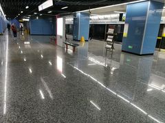 -大龙山(地铁站)