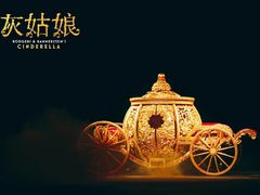 -合肥大剧院