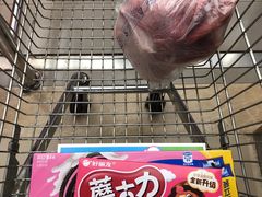 -北国商城(邢台店)