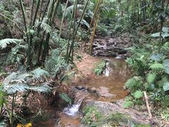 -滴水岩森林公园